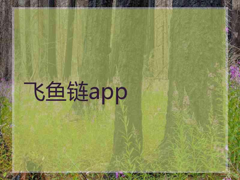 飞鱼链app