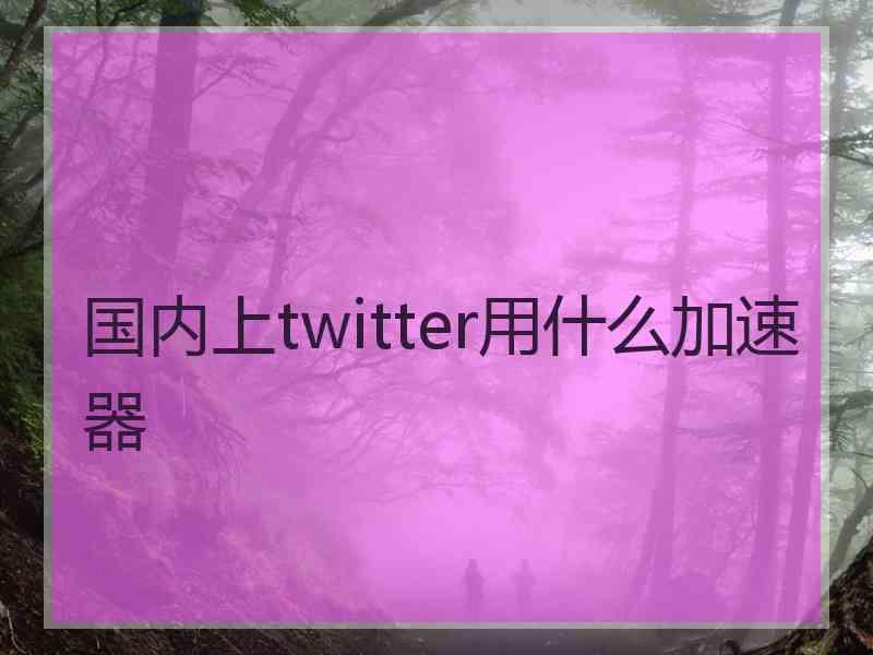 国内上twitter用什么加速器