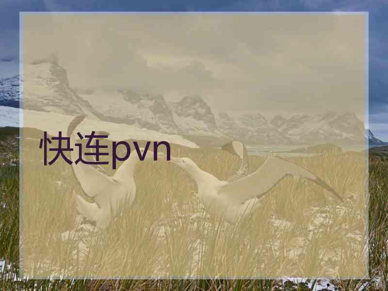 快连pvn