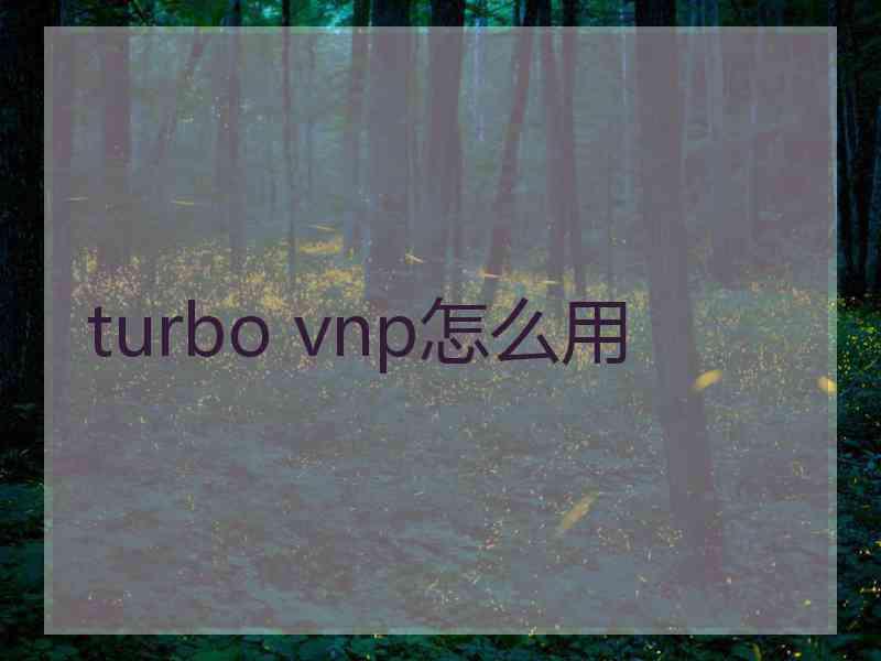turbo vnp怎么用
