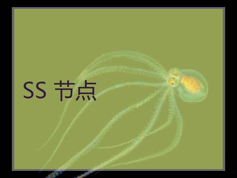 SS 节点