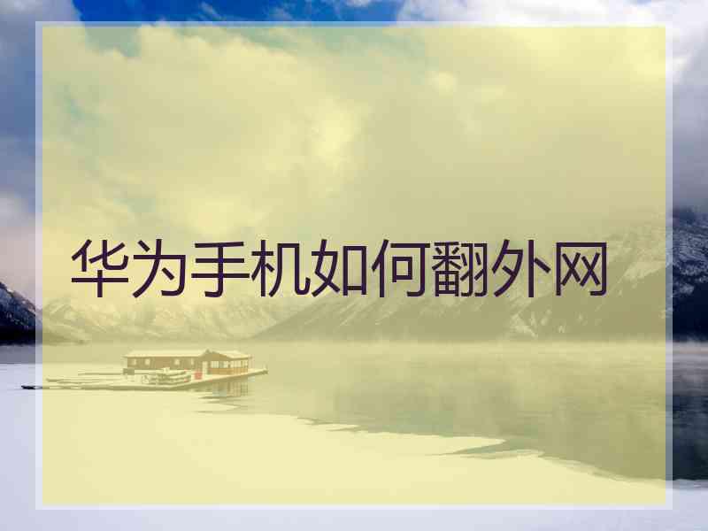 华为手机如何翻外网