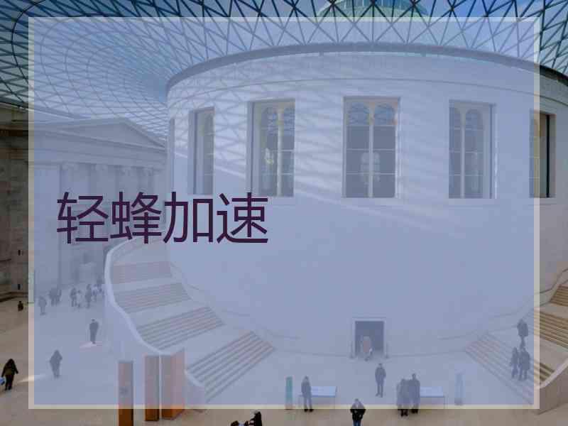 轻蜂加速