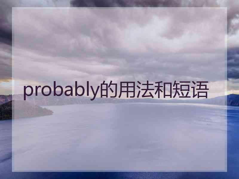 probably的用法和短语