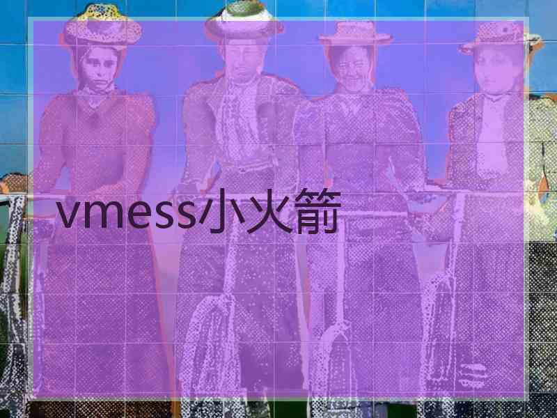 vmess小火箭