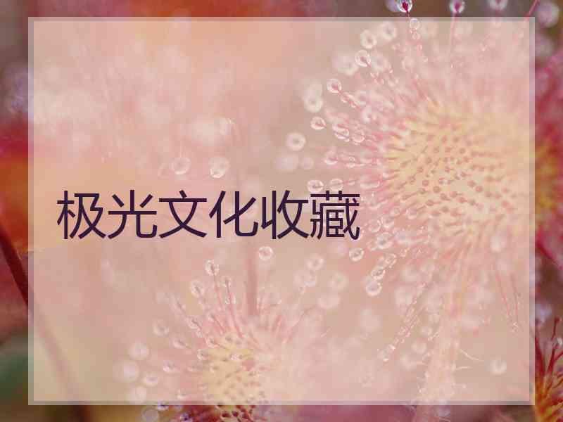 极光文化收藏
