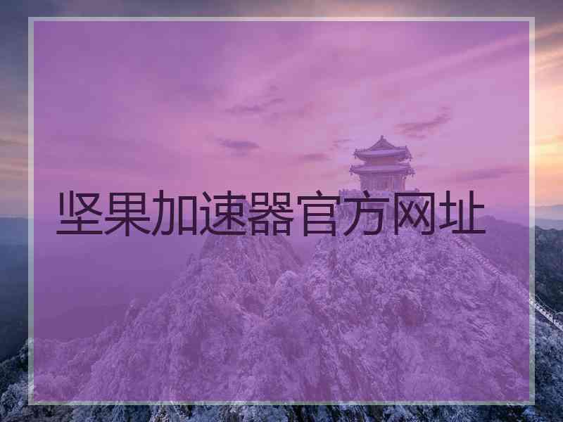 坚果加速器官方网址