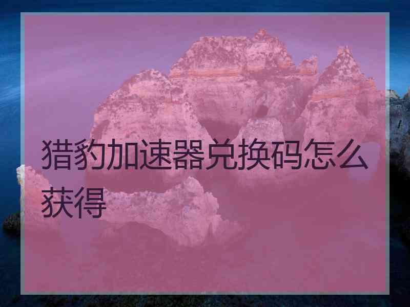猎豹加速器兑换码怎么获得
