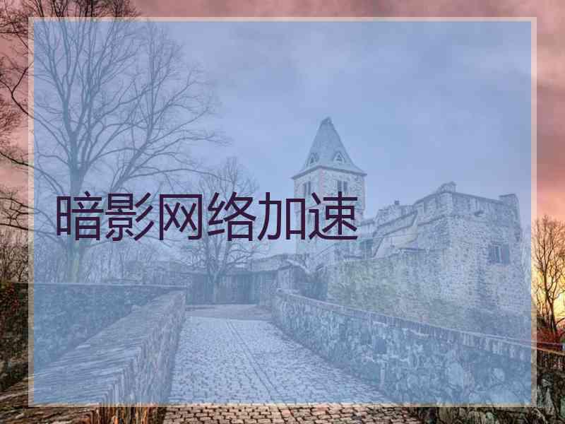 暗影网络加速