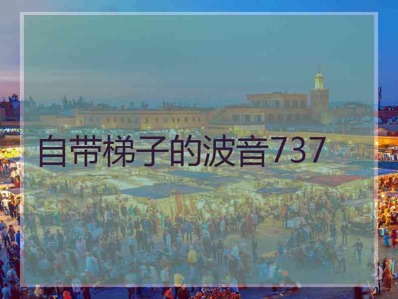 自带梯子的波音737