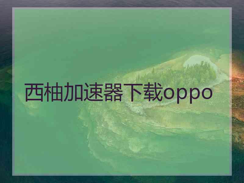 西柚加速器下载oppo