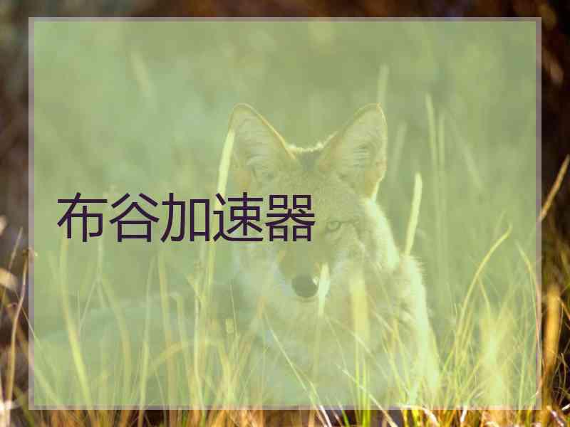 布谷加速器
