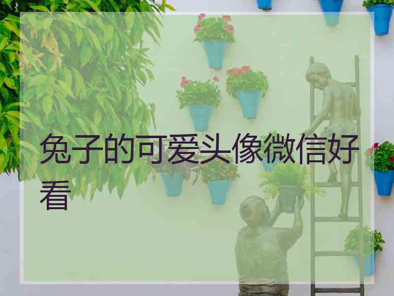 兔子的可爱头像微信好看