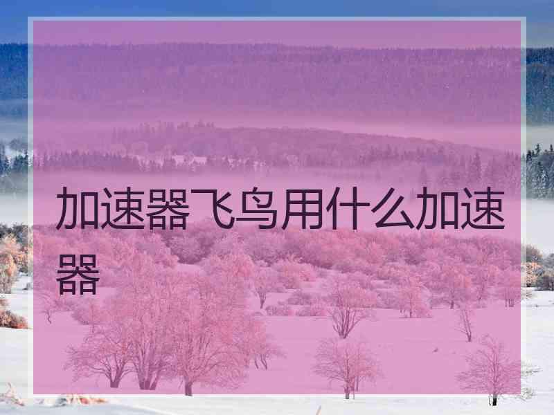 加速器飞鸟用什么加速器