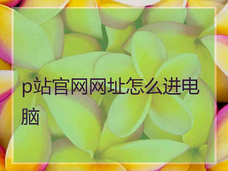 p站官网网址怎么进电脑
