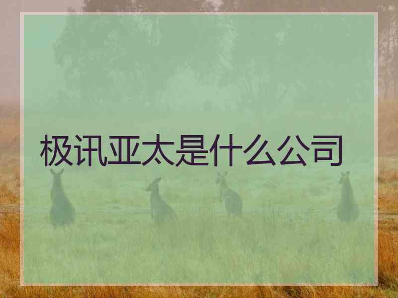 极讯亚太是什么公司