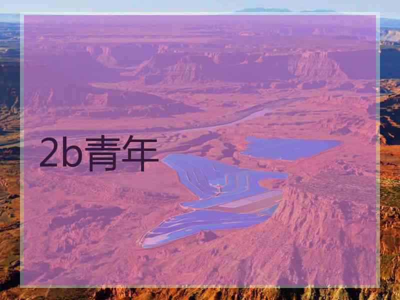 2b青年