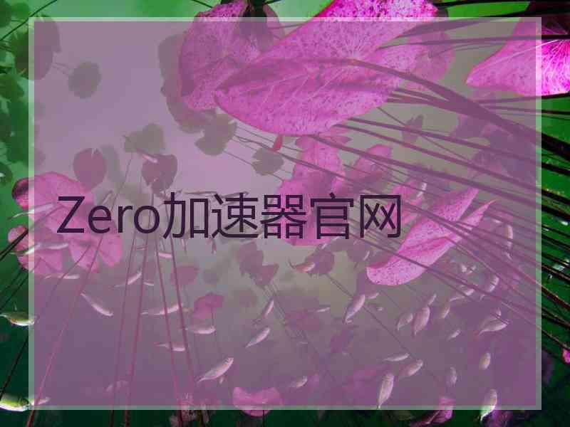 Zero加速器官网