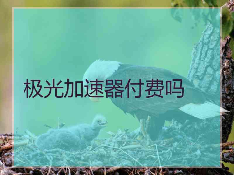 极光加速器付费吗