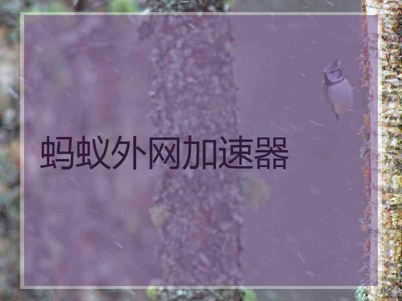 蚂蚁外网加速器