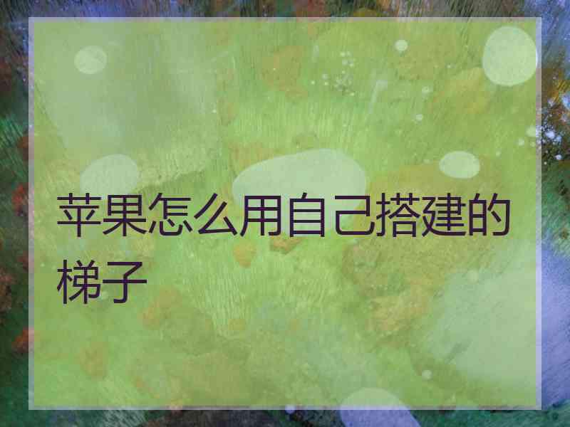 苹果怎么用自己搭建的梯子
