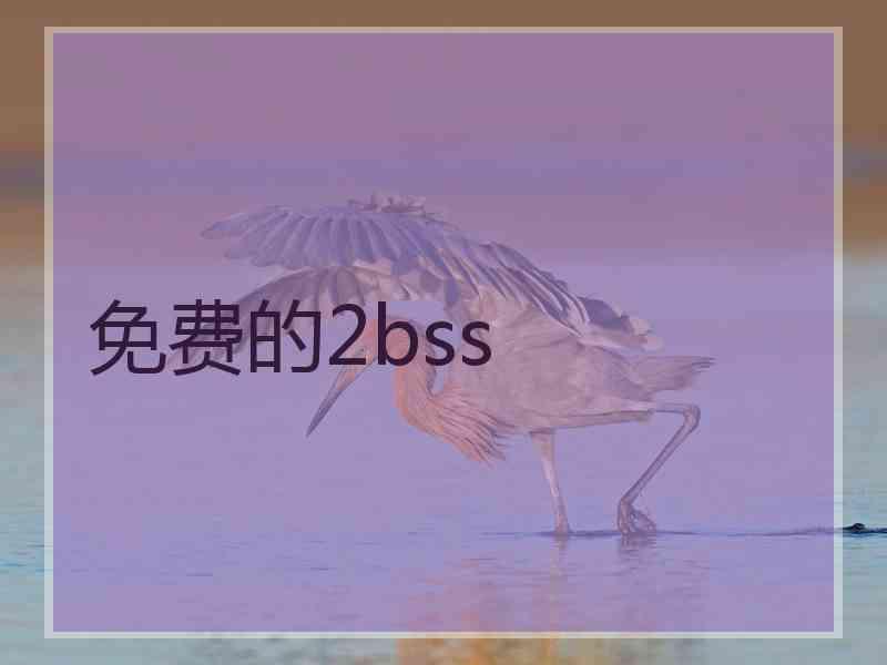 免费的2bss