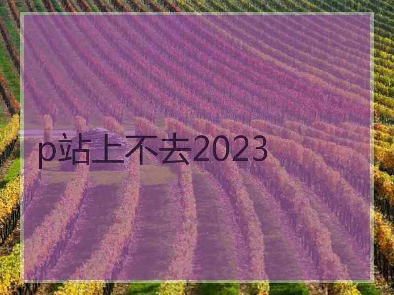 p站上不去2023