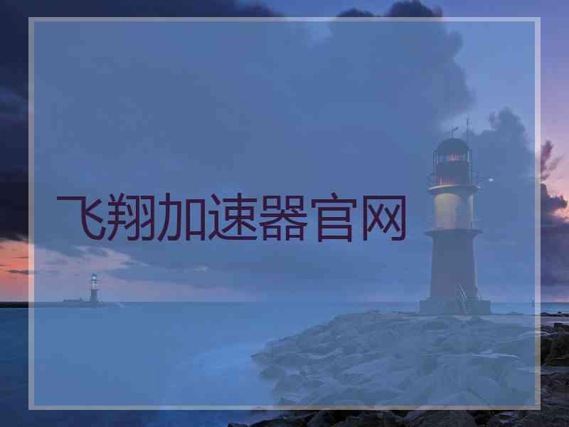 飞翔加速器官网