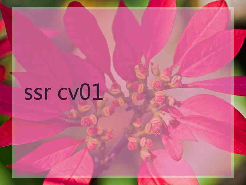 ssr cv01