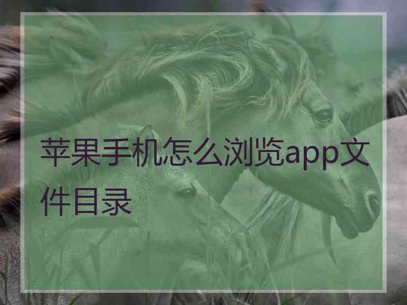 苹果手机怎么浏览app文件目录