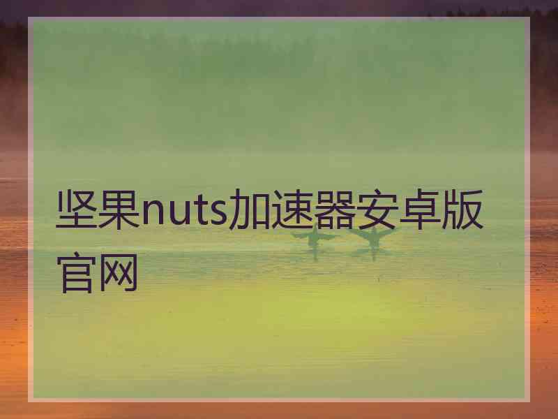 坚果nuts加速器安卓版官网