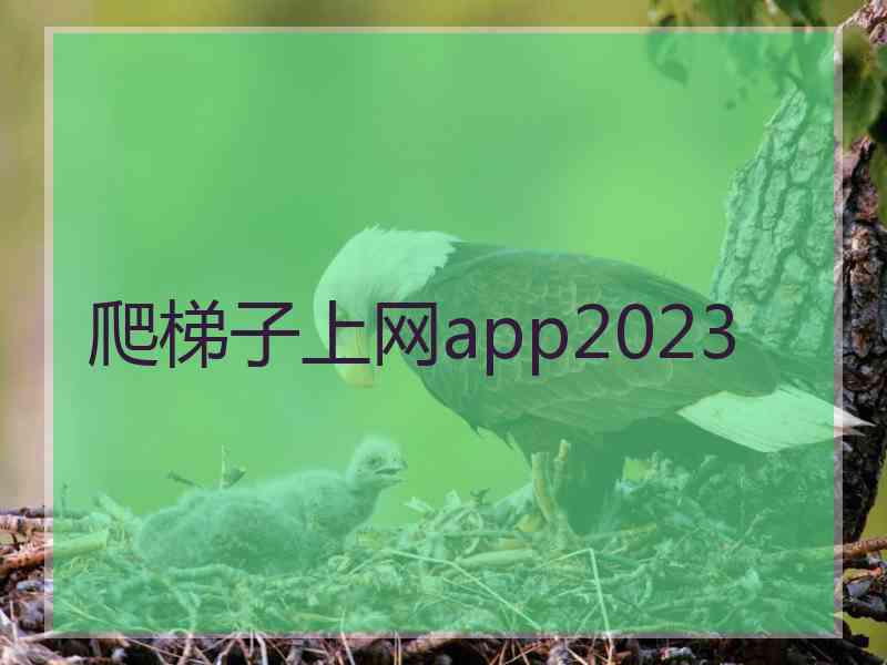 爬梯子上网app2023