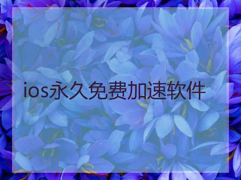 ios永久免费加速软件