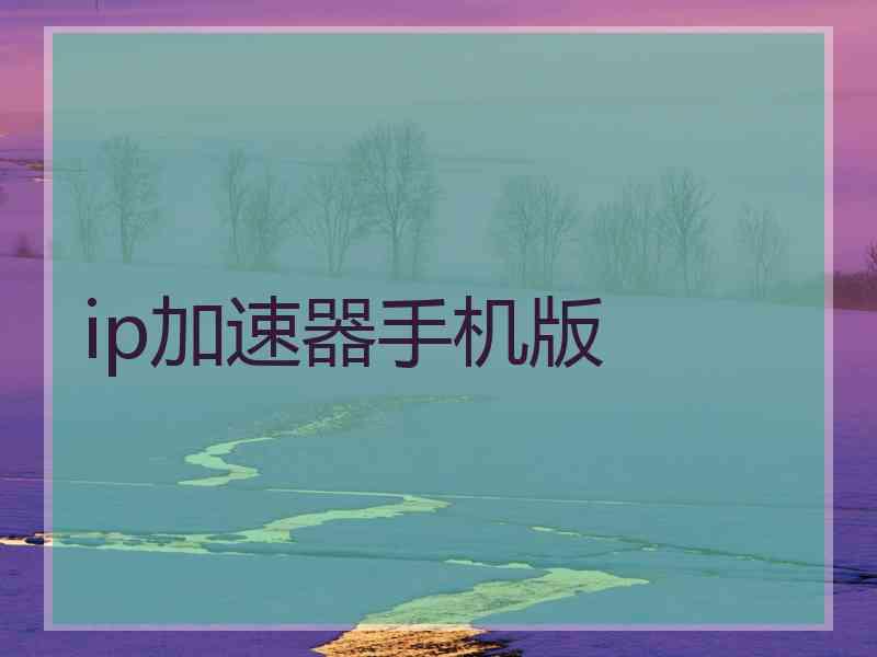 ip加速器手机版