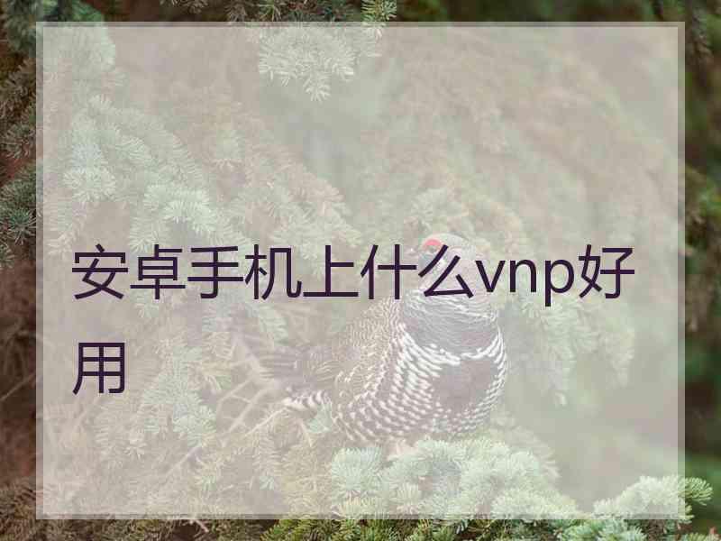 安卓手机上什么vnp好用