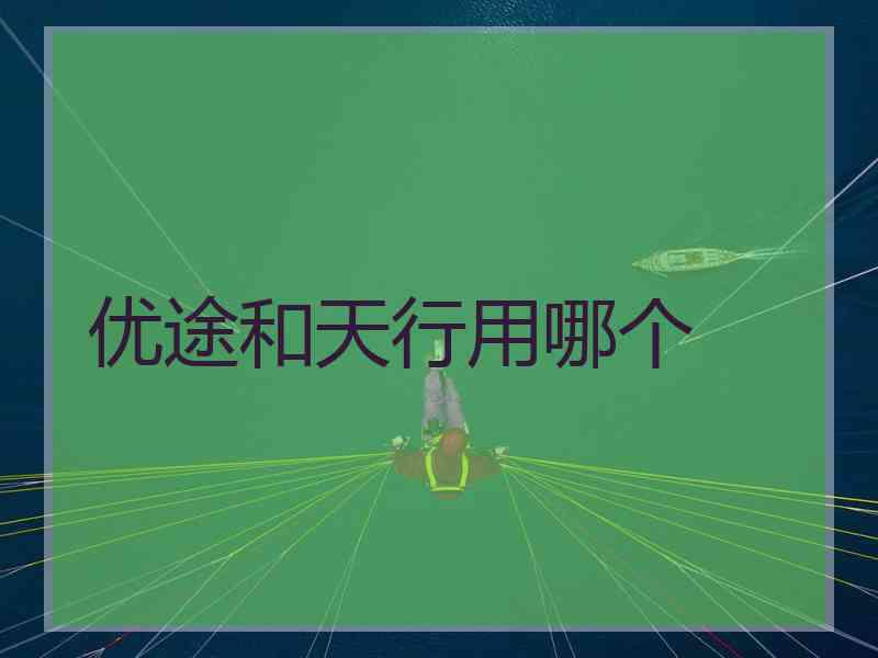优途和天行用哪个