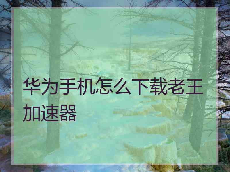 华为手机怎么下载老王加速器