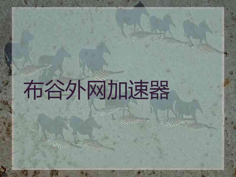 布谷外网加速器