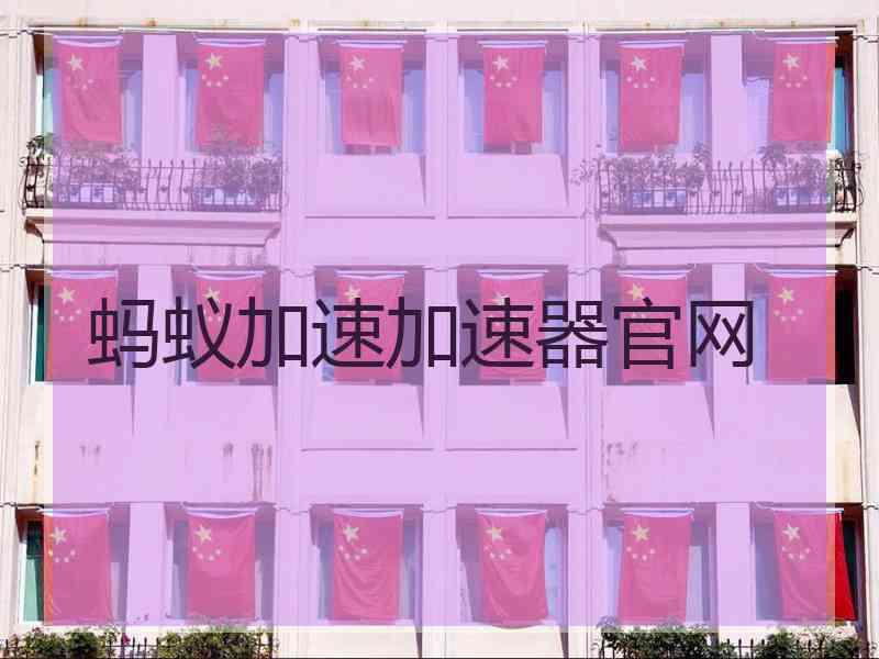 蚂蚁加速加速器官网