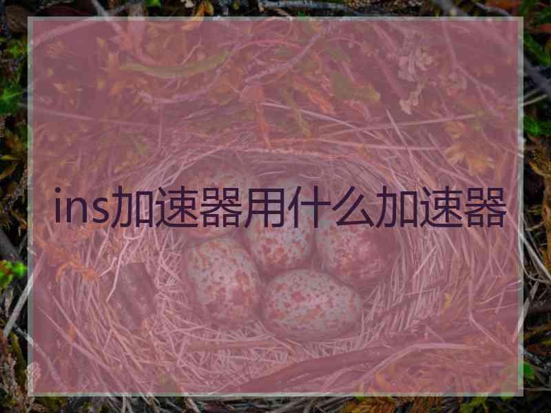 ins加速器用什么加速器