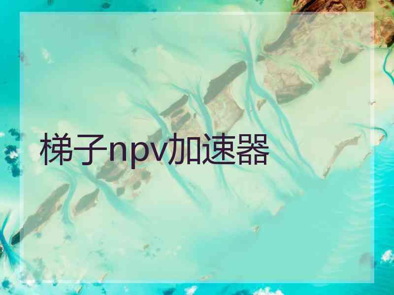 梯子npv加速器