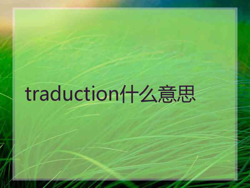 traduction什么意思