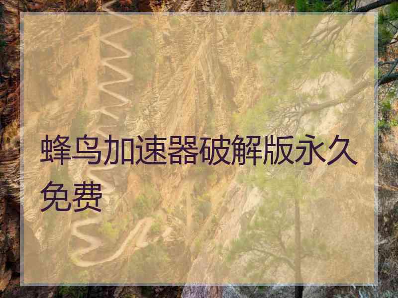 蜂鸟加速器破解版永久免费