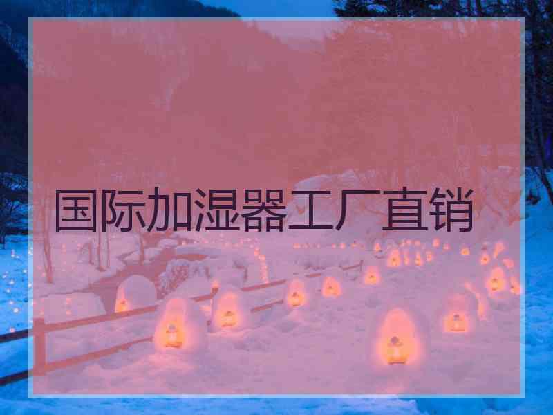 国际加湿器工厂直销