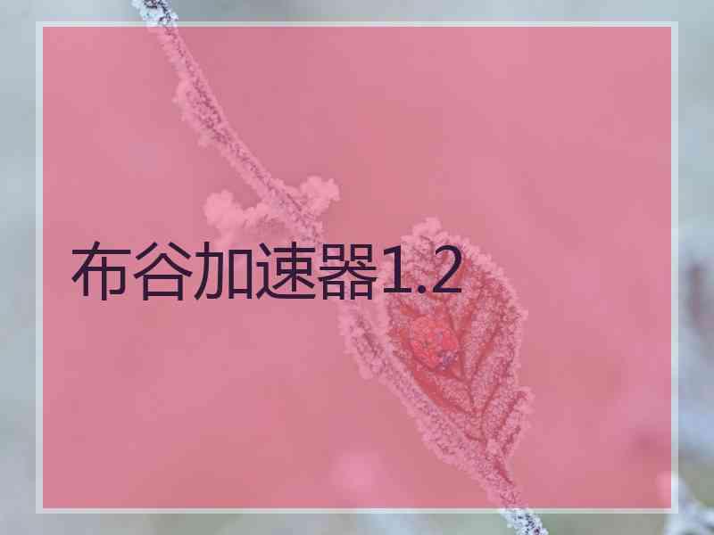 布谷加速器1.2