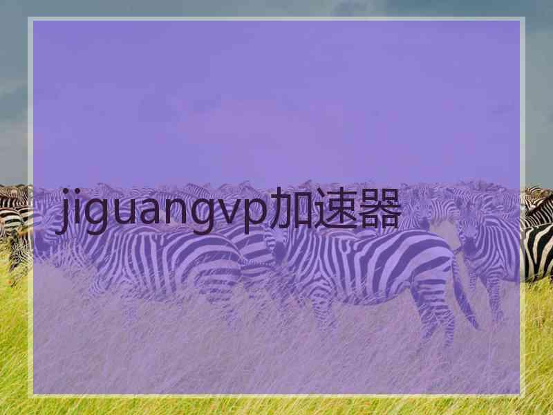 jiguangvp加速器