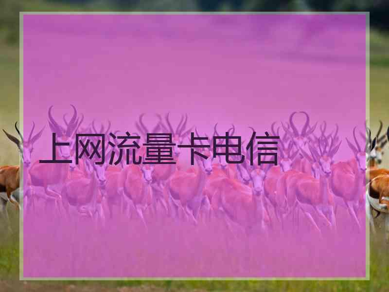上网流量卡电信