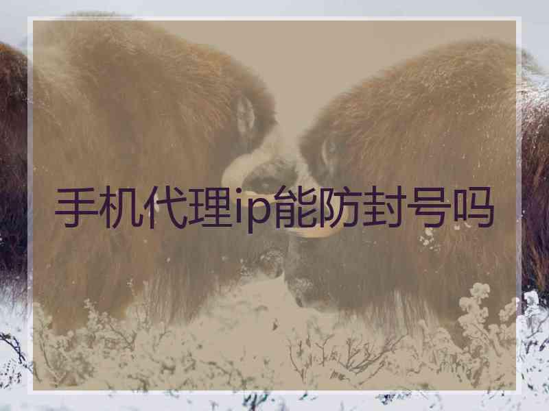 手机代理ip能防封号吗