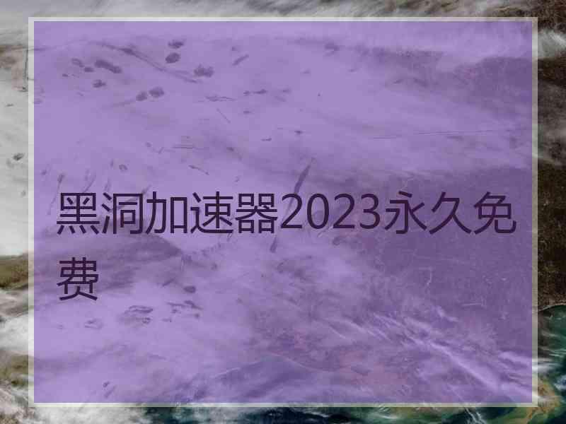 黑洞加速器2023永久免费