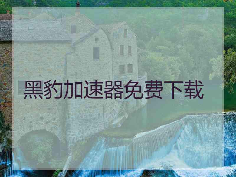 黑豹加速器免费下载